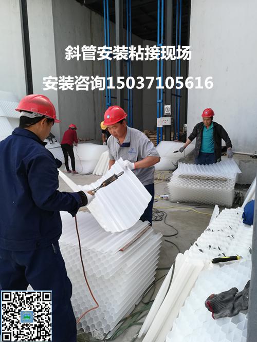 ��Cб�����ϰ��bճ�ӬF(xi��n)��(ch��ng)